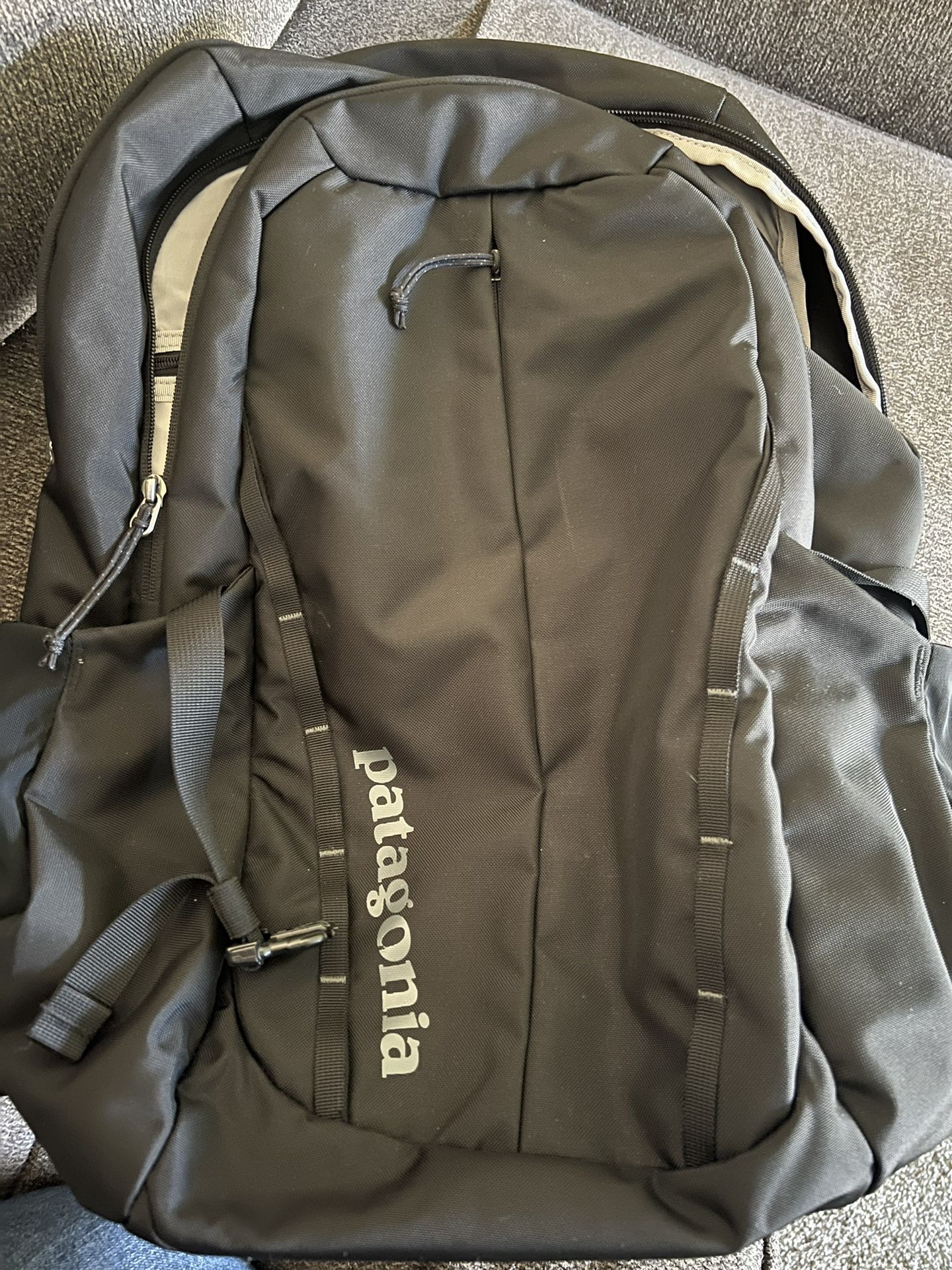 Patagonia Backpack