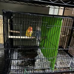 Bird Cage  Plus Two Nest And Ca.included In The Price