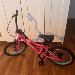 Guardian Girls 16 Inch Pink Bike