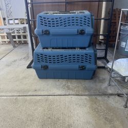 Dog Kennel