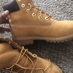 Grade school Timberlands 