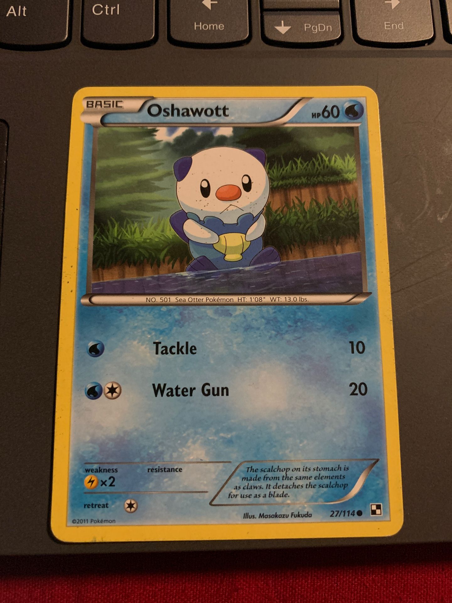 Rare oshawott Pokémon card
