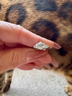 💍 1.70 CTW Platinum Three-Stone Diamond Engagement Ring (EGL USA Certified 1.005 CT Center)