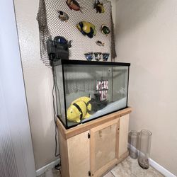 20 Gallon Fish Tank 