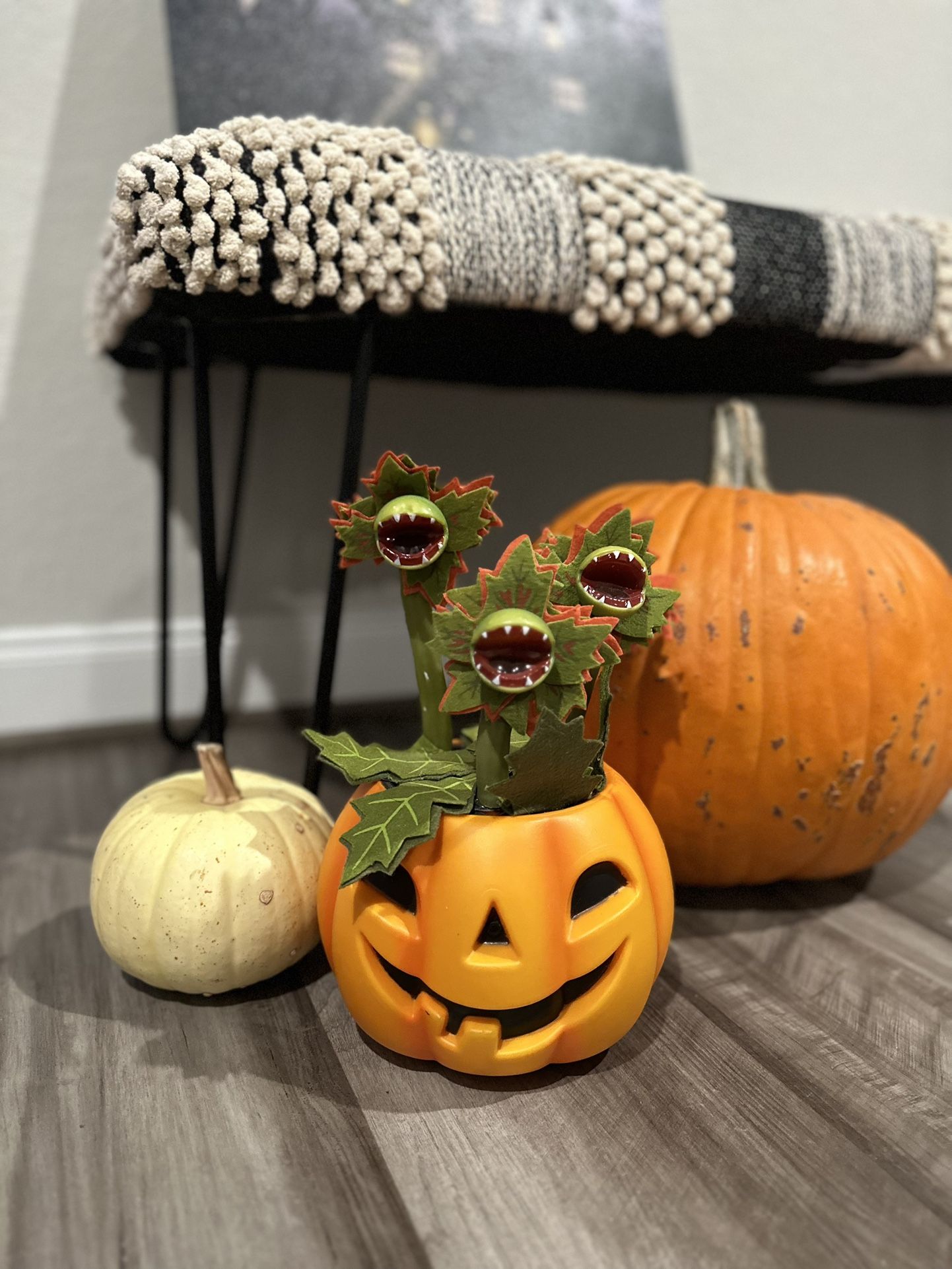 Hyde & Eek Target Halloween Plants Animated Pumpkin Blood Succulents Dancing