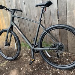 Trek Dual Sport Xl Bike 