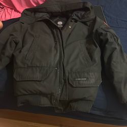canada goose