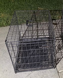 Dog Crate