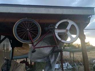 fixed gear