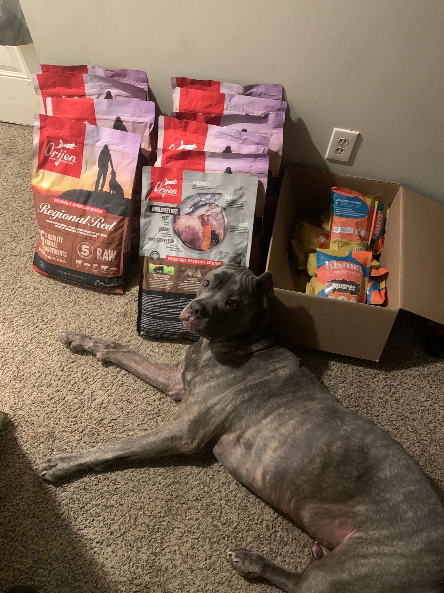 Dog Food20$ Snacks 5$