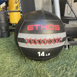 Ethos Wall Ball 14lbs - like new - SALE! 