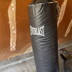 Everlast punching bag