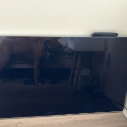 50 Inch Samsung TV