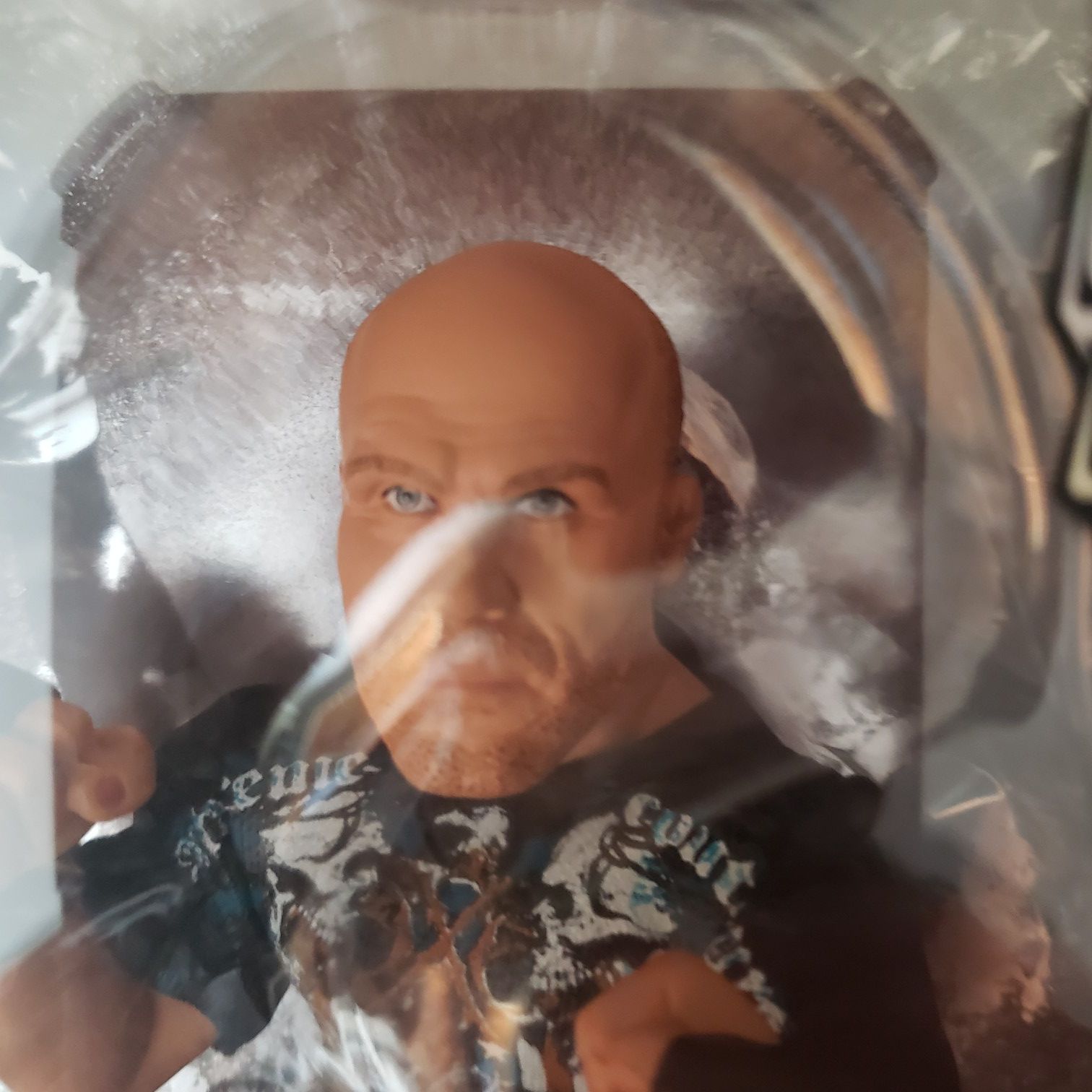 Randy Couture Action Figure