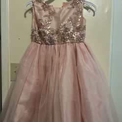 Pink and gold tulle dress  4T