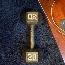 20lb Dumbbell 