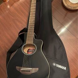 3/4 electroacoustic guitar 