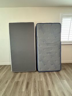 Twin Mattress & Box Spring