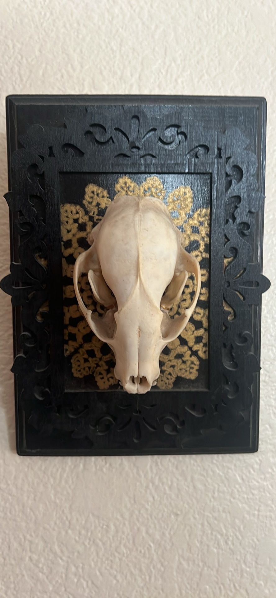Animal skull art
