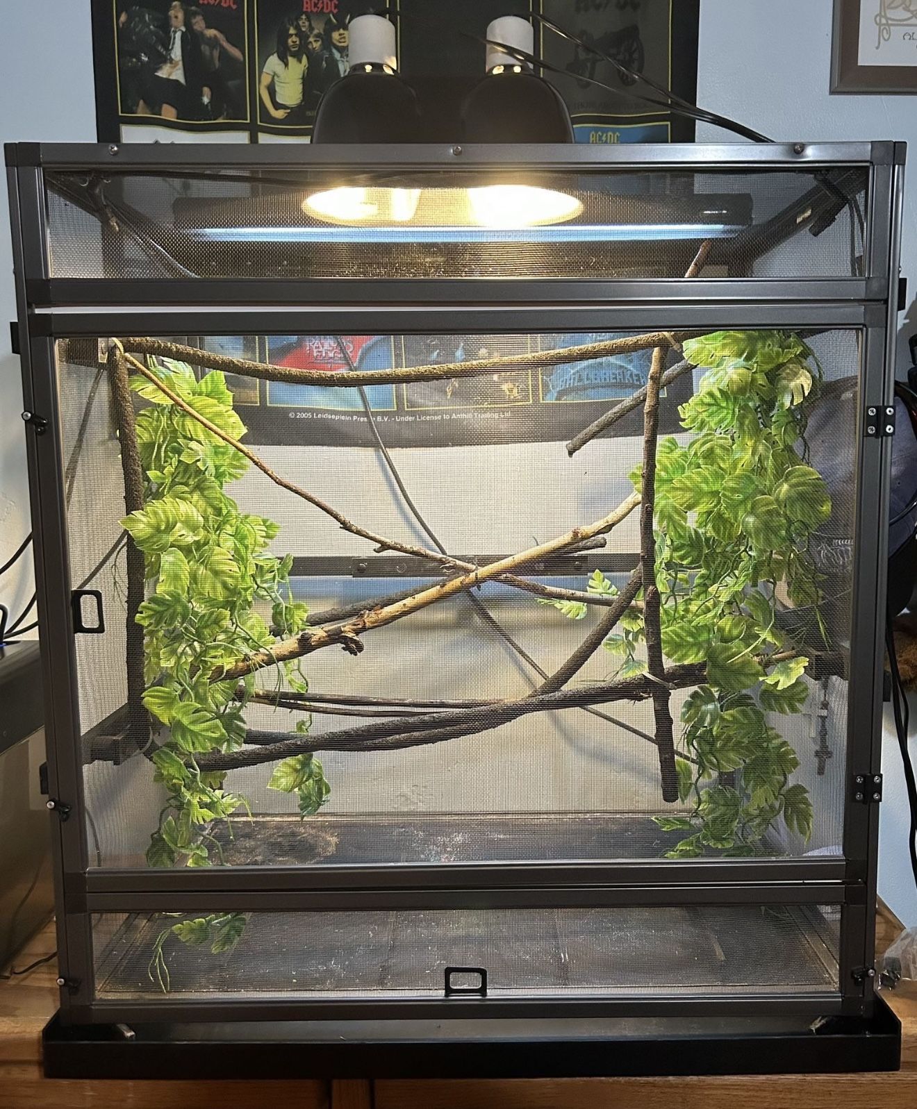 Dragon Strand Enclosure 