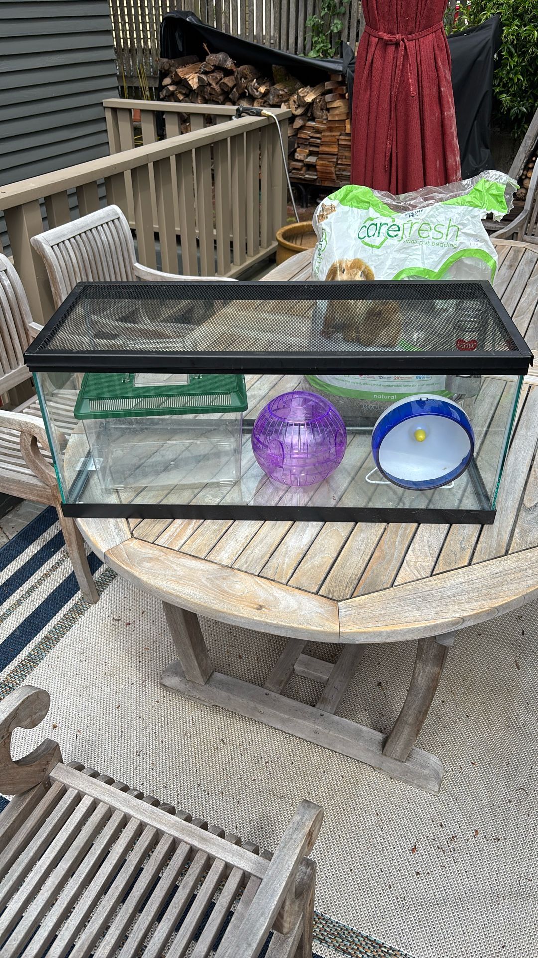 Hamster Starter Kit, Used