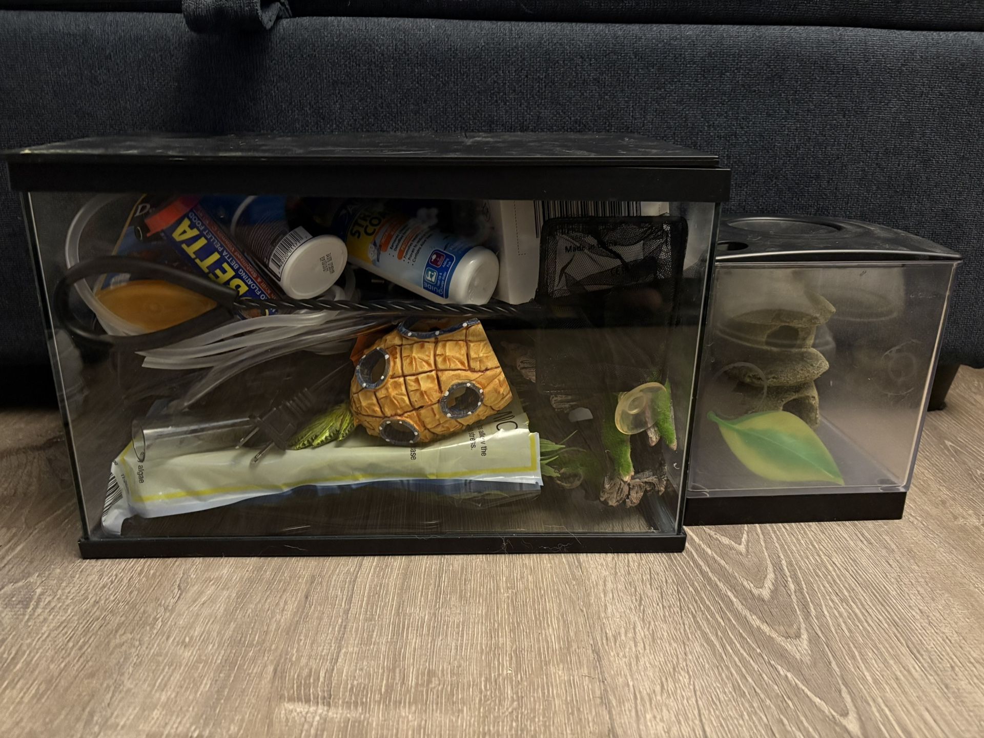 Beta Fish Tank