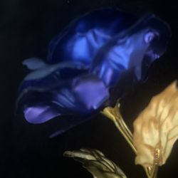 Beautiful Foiled Rose Of Love For You Or Someone On Valentines Day 