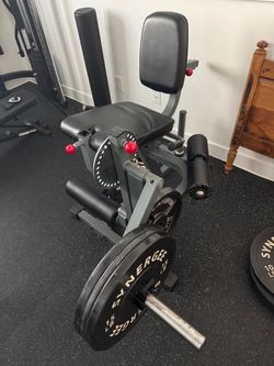 XMark Leg Extension and Curl