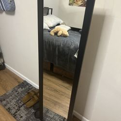 Door  HangingMirror