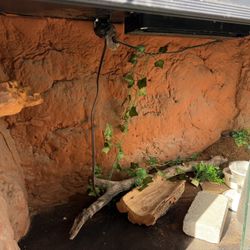 Large Reptile Enclosure 
