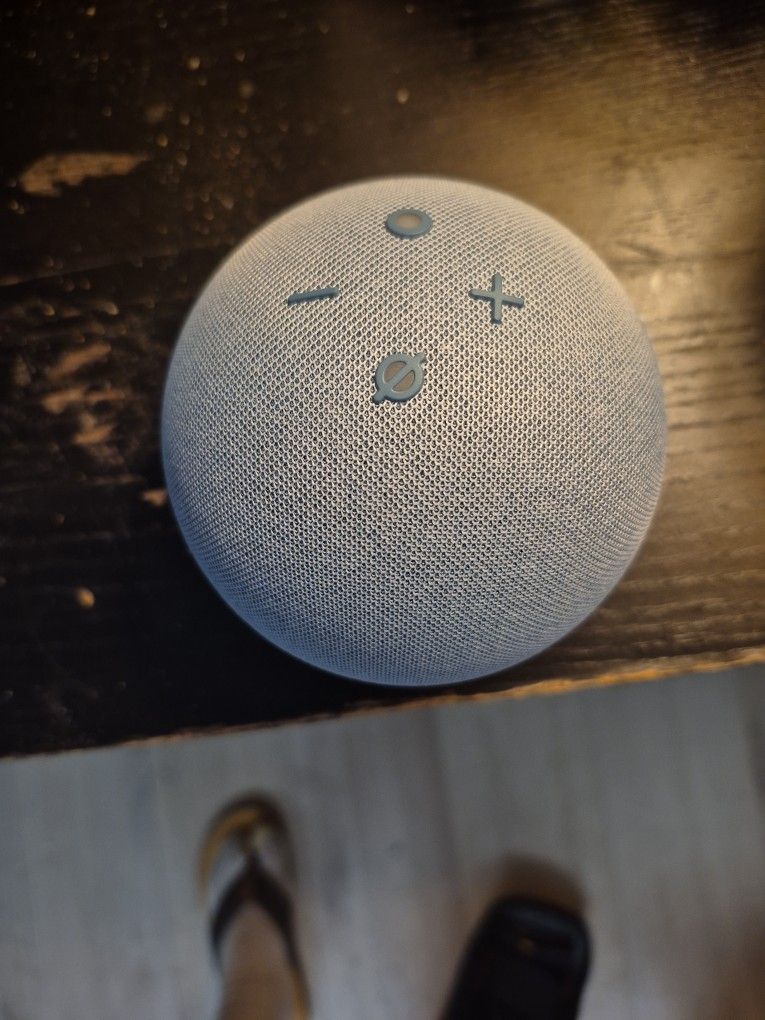Alexa Echo Dot
