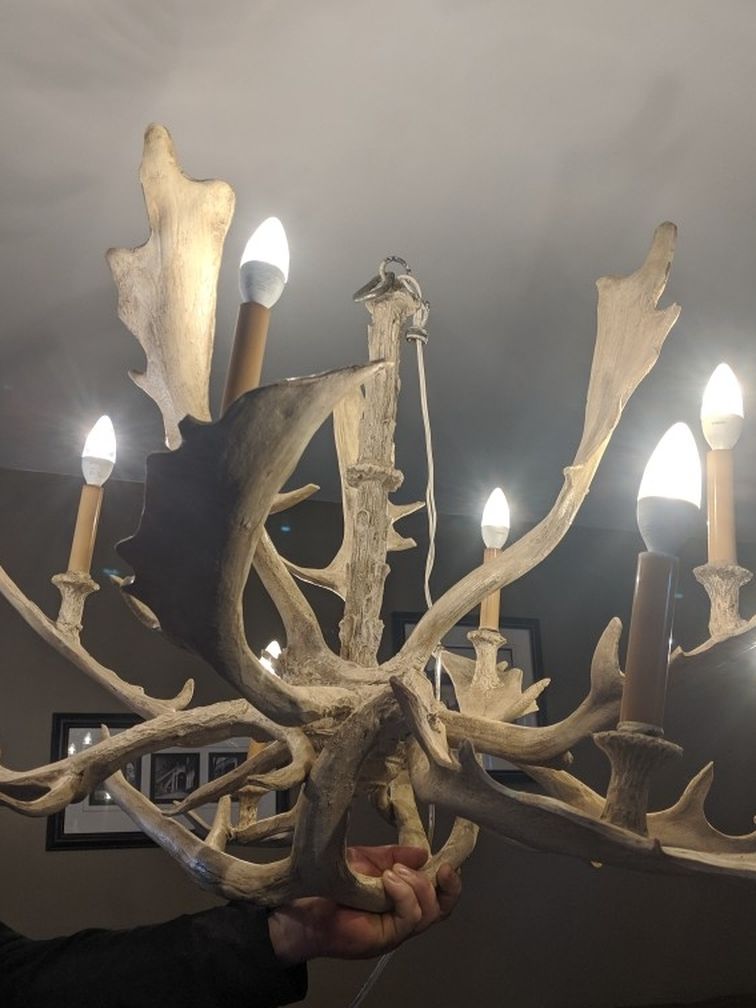 Faux 8 Light Antler Chandelier