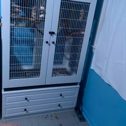 Bird Cage (bird Included)