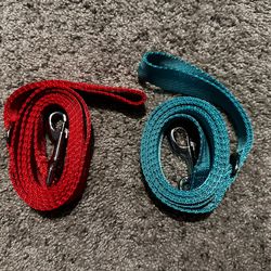Dog Leash