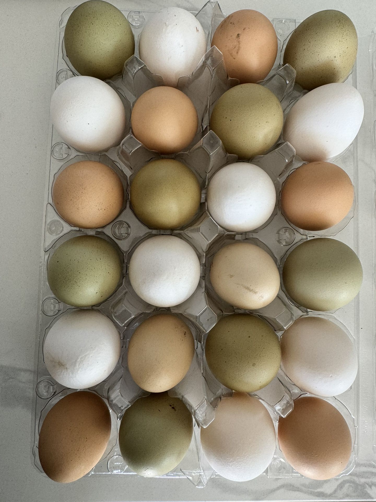 Unwashed Fresh Eggs. Two Dozen