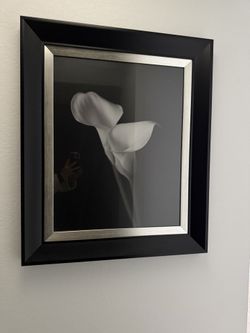 Black and white Calla Lily framed art, black frame with silver trim