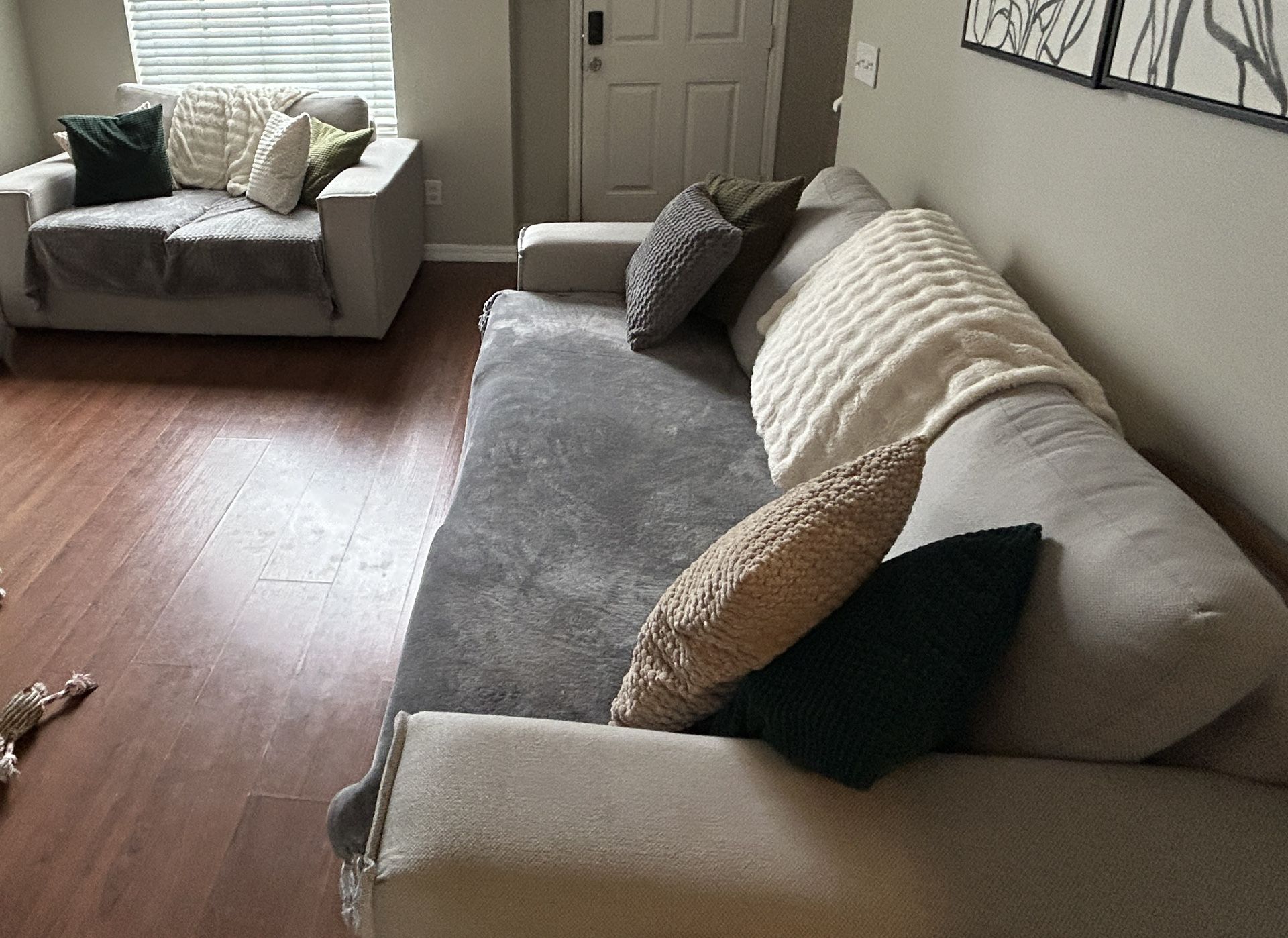 Light Gray Couch 