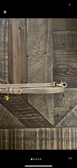 JUICY COURTURE Pet / all in one leash and collar / gold and glitter / SMALL