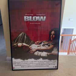 Framed Blow Picture