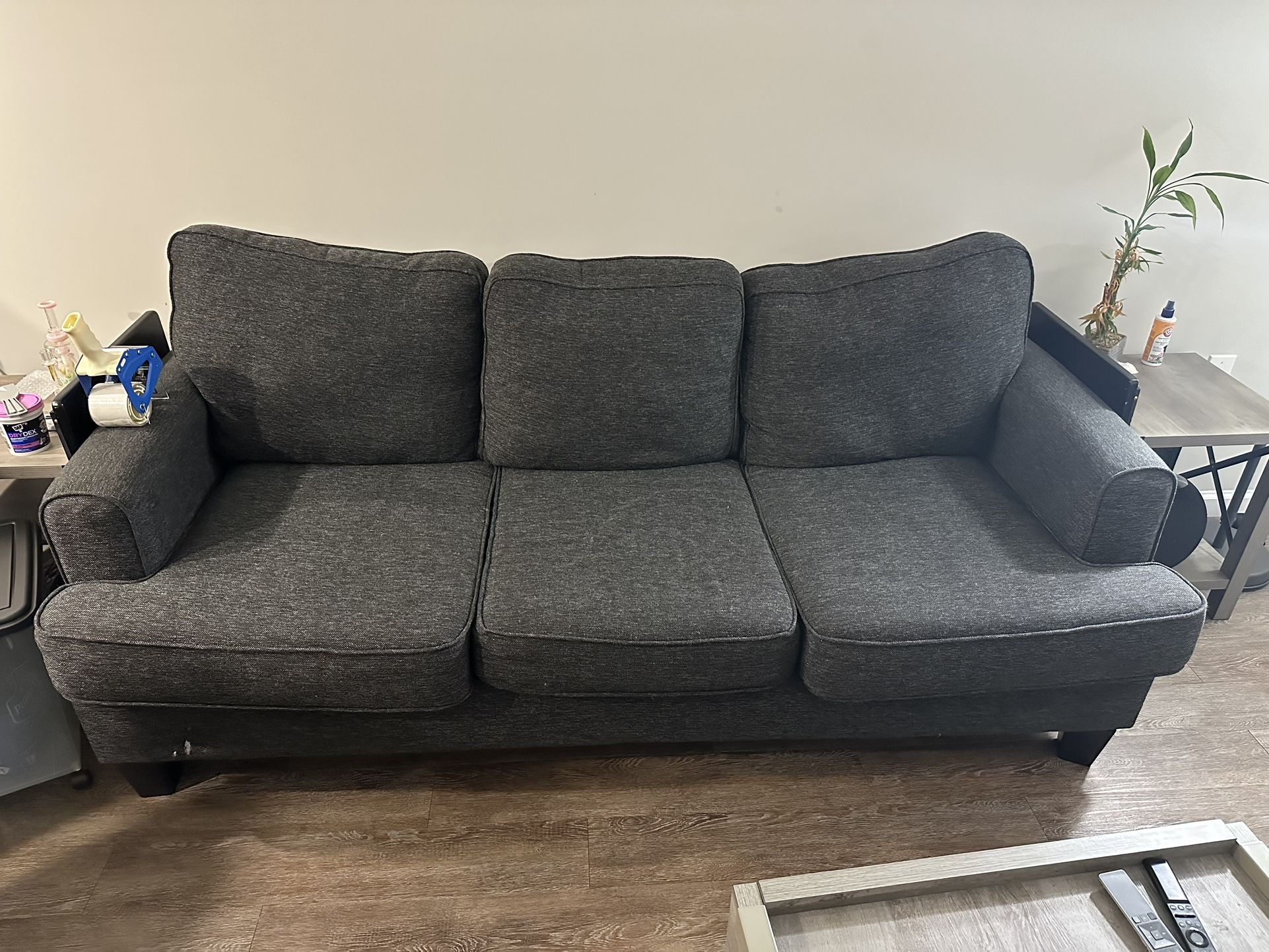 Sleeper Sofa & Love Seat (with Decorating Pillows)
