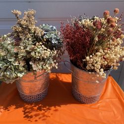 Dried Flowers 