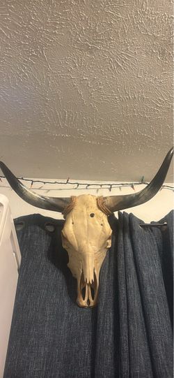 Stunning rustic Texas Longhorn steer wall decor