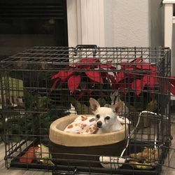 Dog Crate - Medium Size 
