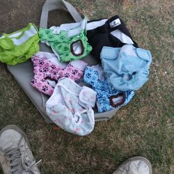 Dog Diapers