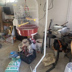 Standing Cage 