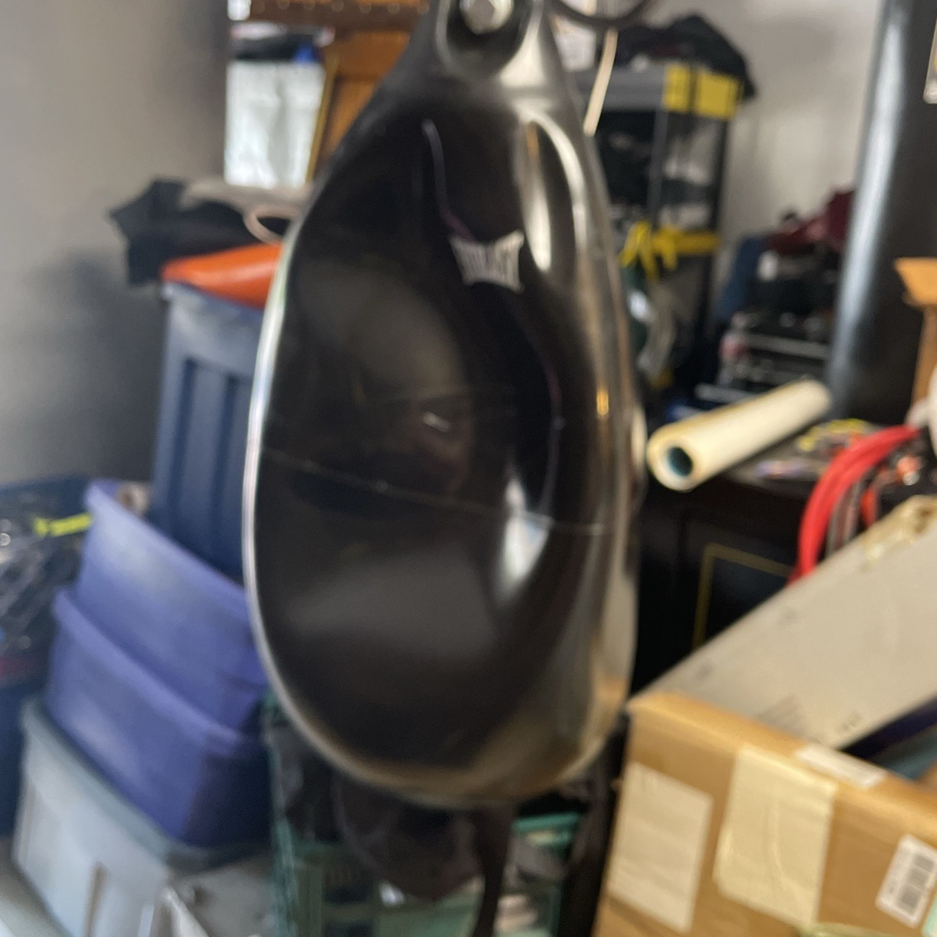 Everlast Water Bag.