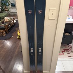 All weather Skis 