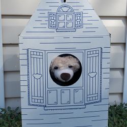 Buil- A  Bear  Teddy 