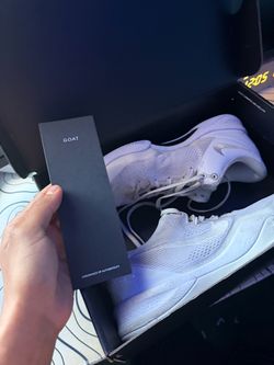 Kobe 8 protro
