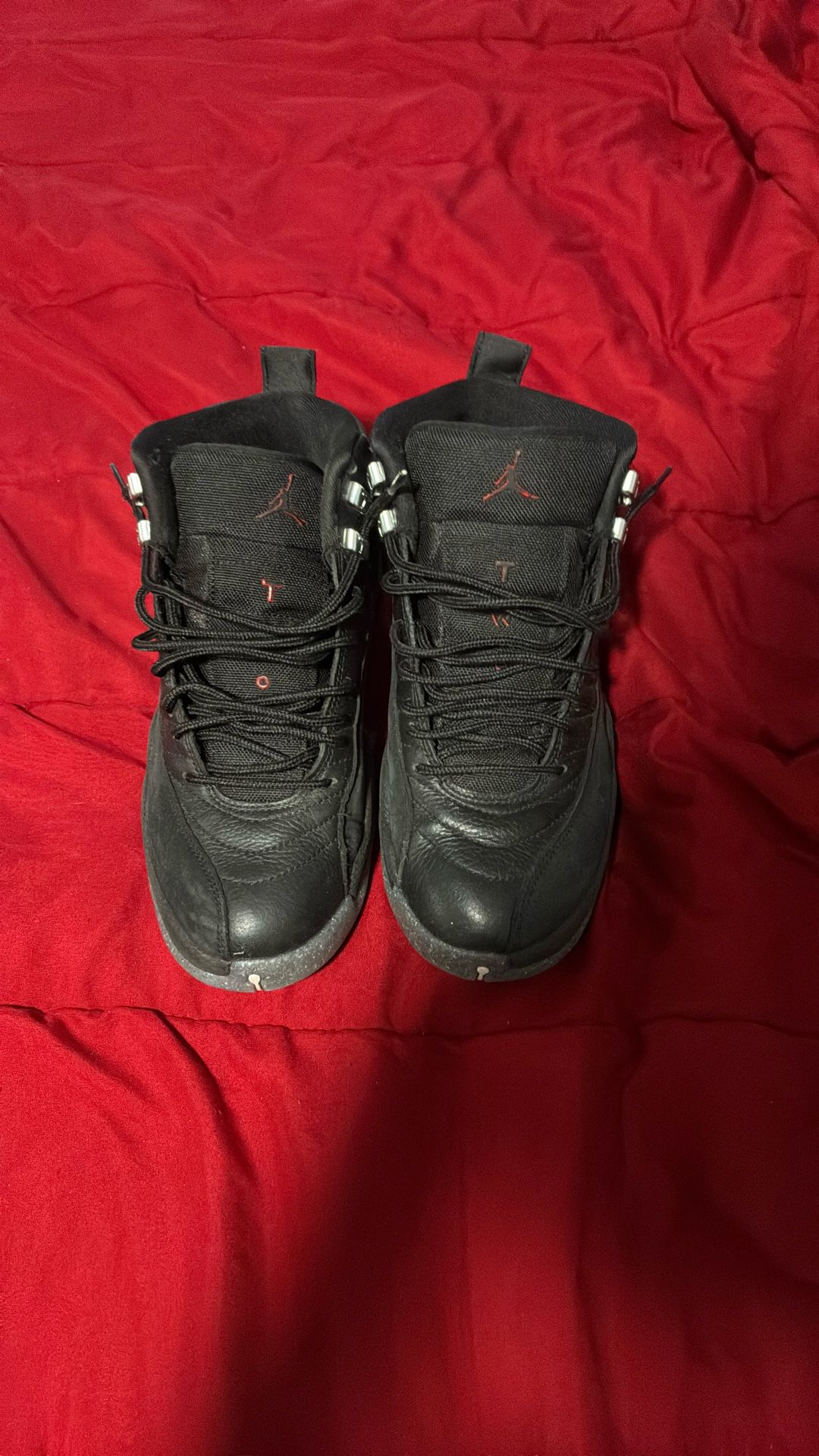 jordan 12